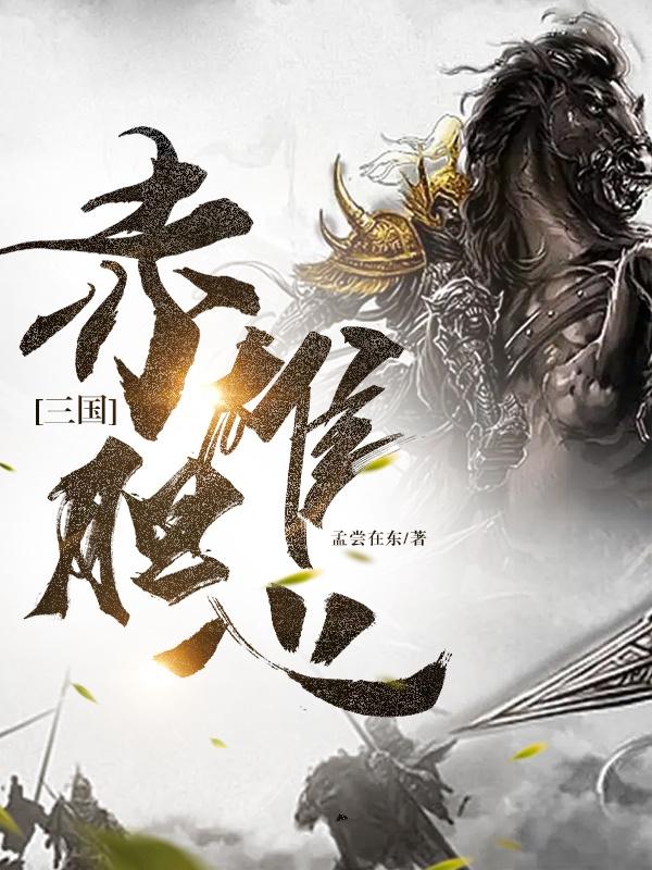 雄心壮志三国