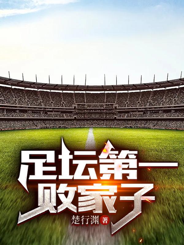 足坛第一帅txt
