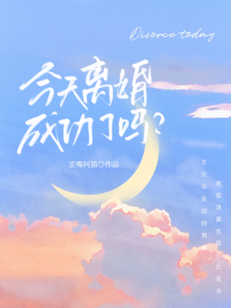 今天离婚成功了吗小说陶应然